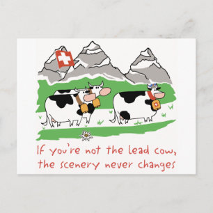 Lead Cow Postcard