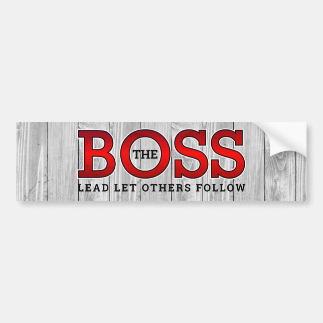 LEAD LET OTHERS FOLLOW BUMPER STICKER (Front)