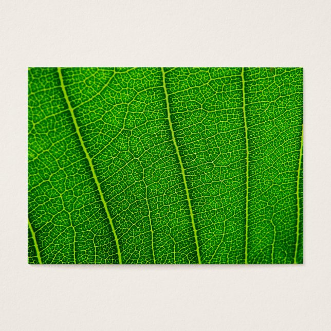 Leaf (Front)