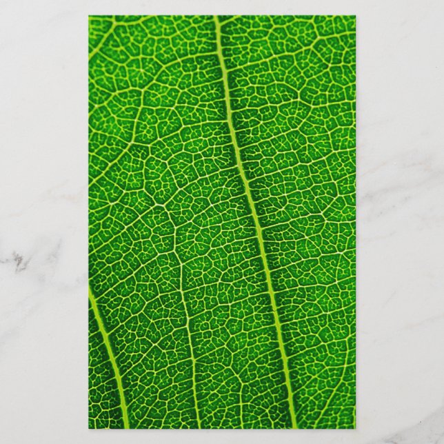 Leaf (Front)