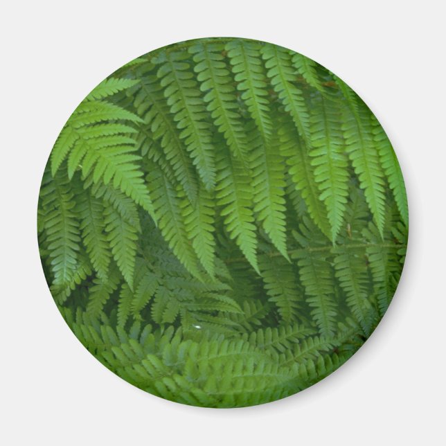Leaf and flower patterns magnet (Front)