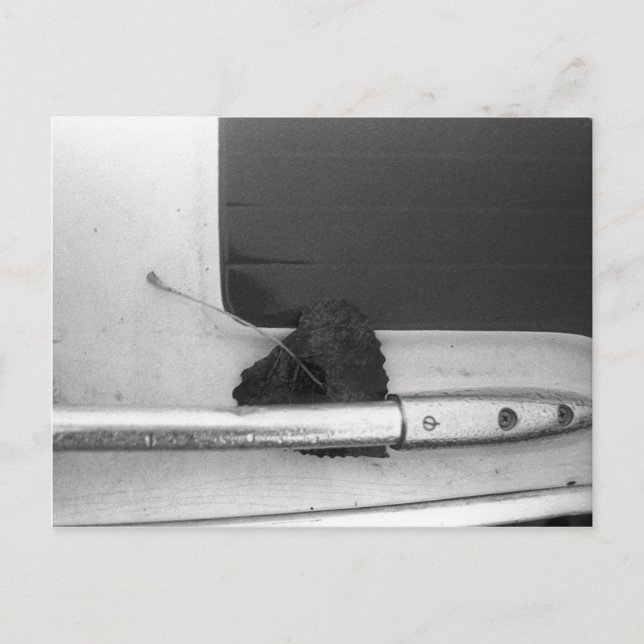 Leaf and Grab Rail Postcard (Front)