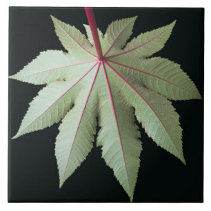 Leaf and Stem Ceramic Tile