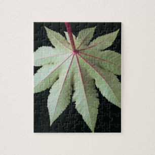 Leaf and Stem Jigsaw Puzzle