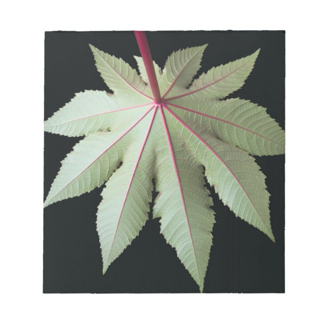 Leaf and Stem Notepad (Front)