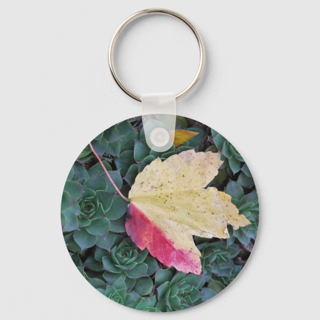 Leaf and Succulents Keychain  with Weave Patterned (Front)