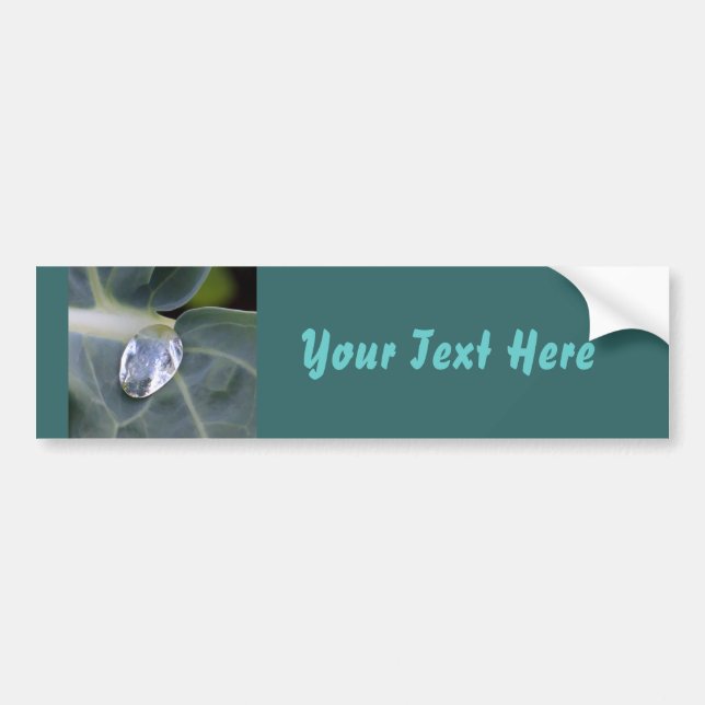 Leaf And Water Drop Bumper Sticker (Front)
