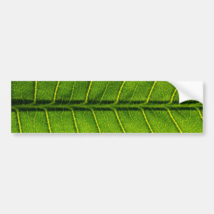 Leaf Bumper Sticker