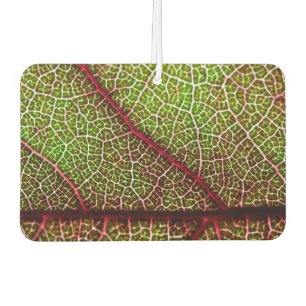 Leaf Car Air Freshener