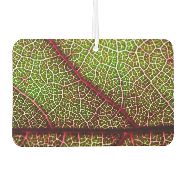 Leaf Car Air Freshener (Front)
