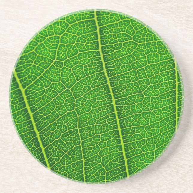 Leaf Coaster (Front)