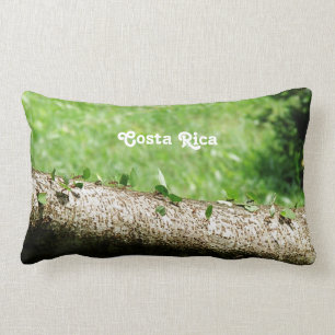 Leaf Cutter Ants in Costa Rica Lumbar Cushion