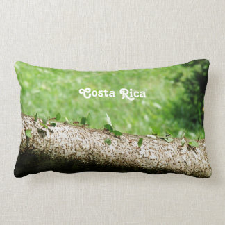 Leaf Cutter Ants in Costa Rica Lumbar Cushion