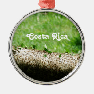 Leaf Cutter Ants in Costa Rica Metal Ornament