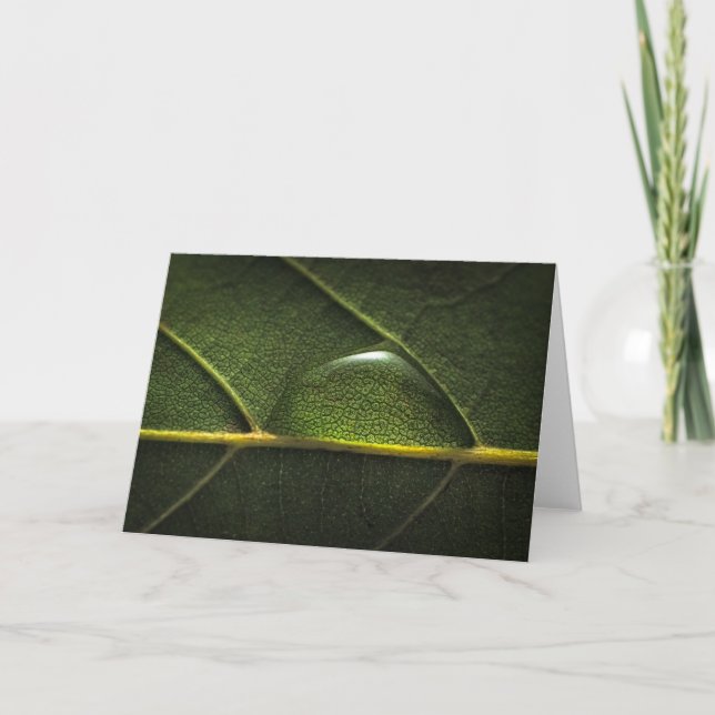 Leaf Droplets Card (Front)