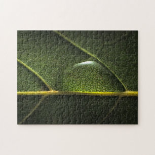 Leaf Droplets Jigsaw Puzzle