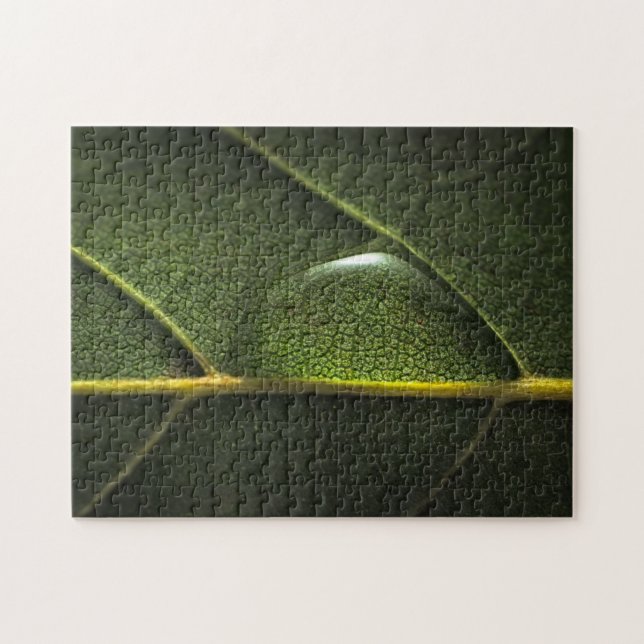 Leaf Droplets Jigsaw Puzzle (Horizontal)