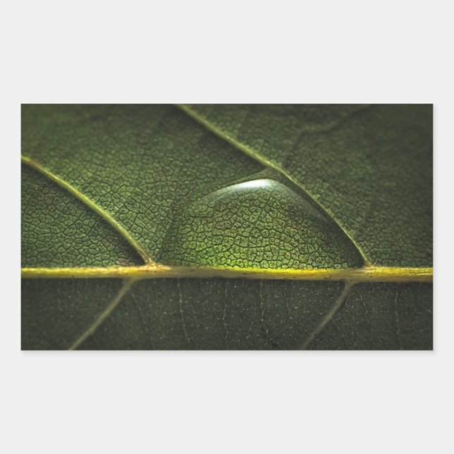 Leaf Droplets Rectangular Sticker (Front)