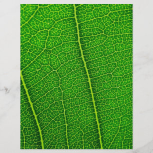 Leaf Flyer