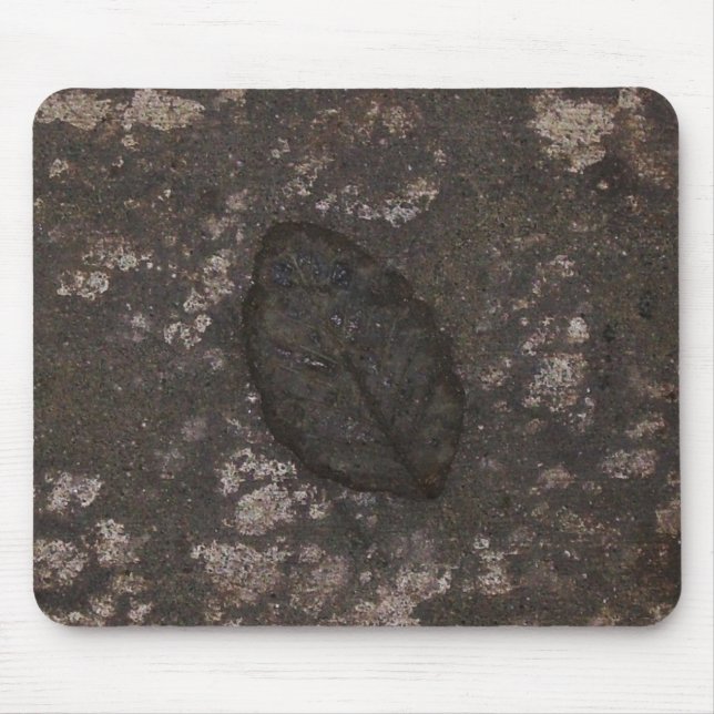 Leaf fossil mouse pad (Front)