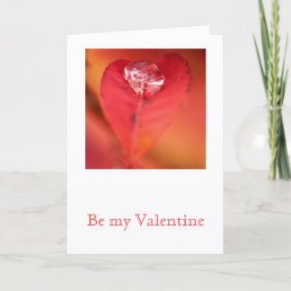 Leaf Heart Holiday Card