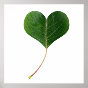 Leaf heart poster