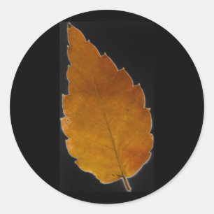 leaf III Classic Round Sticker