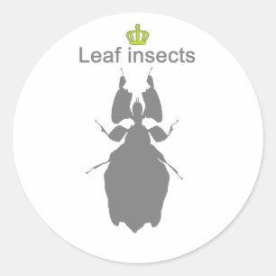 Leaf insects g5 classic round sticker