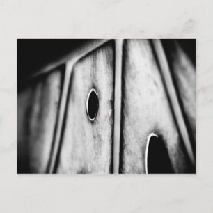 leaf is home postcard