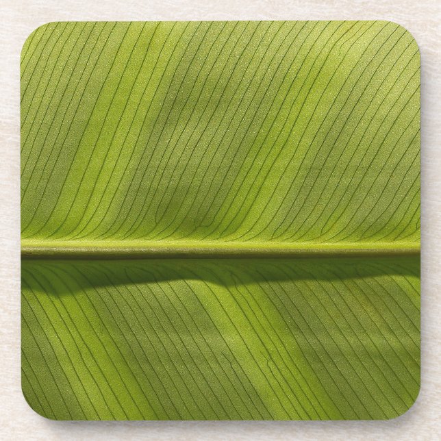 leaf it coaster (Front)