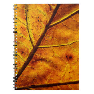 Leaf leaf veins fall texture notebook