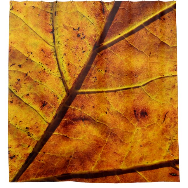 Leaf leaf veins fall texture shower curtain (Front)