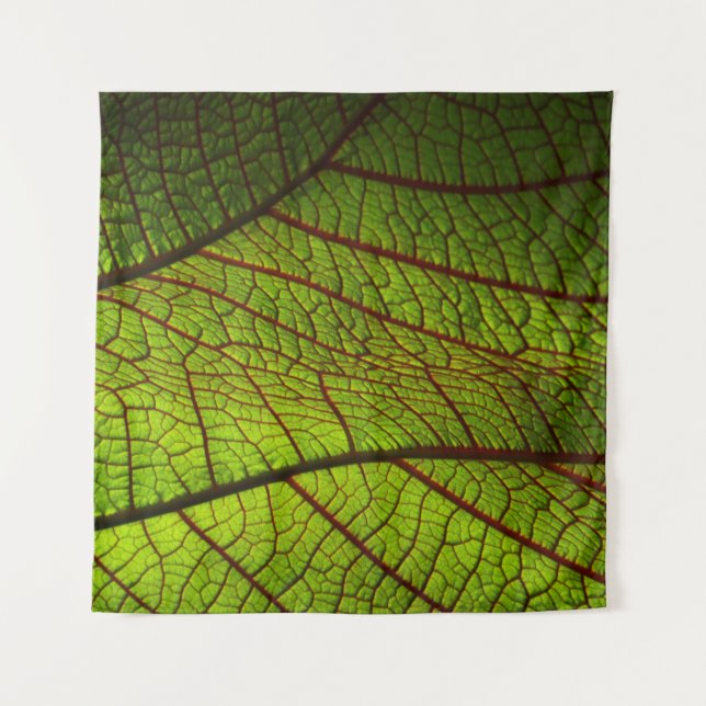 Leaf macro veins leaf veins green tapestry (Front)