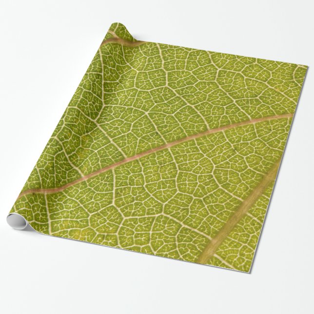 Leaf Macro Wrapping Paper (Unrolled)