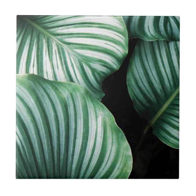 leaf me alone ceramic tile (Front)