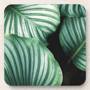 leaf me alone coaster