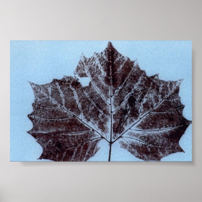 Leaf Nature Print Mini-Poster (Front)