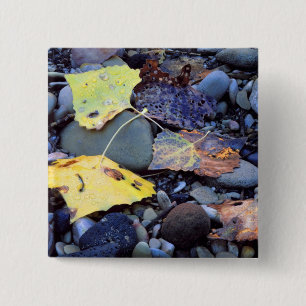 Leaf of Fremont cottonwood on flood plain 15 Cm Square Badge