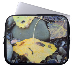 Leaf of Fremont cottonwood on flood plain 2 Laptop Sleeve