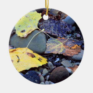 Leaf of Fremont cottonwood on flood plain Ceramic Ornament