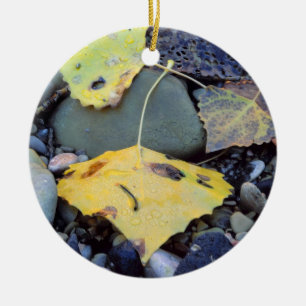 Leaf of Fremont cottonwood on flood plain Ceramic Ornament