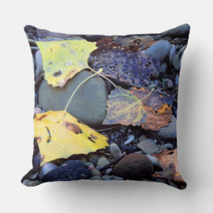 Leaf of Fremont cottonwood on flood plain Cushion