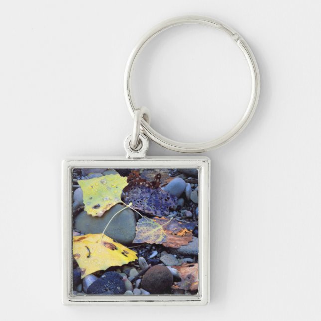 Leaf of Fremont cottonwood on flood plain Key Ring (Front)