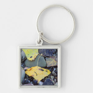 Leaf of Fremont cottonwood on flood plain Key Ring