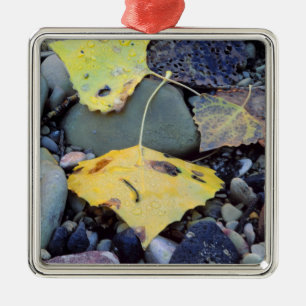 Leaf of Fremont cottonwood on flood plain Metal Tree Decoration
