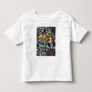 Leaf of Fremont cottonwood on flood plain Toddler T-Shirt