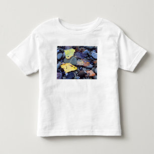 Leaf of Fremont cottonwood on flood plain Toddler T-Shirt
