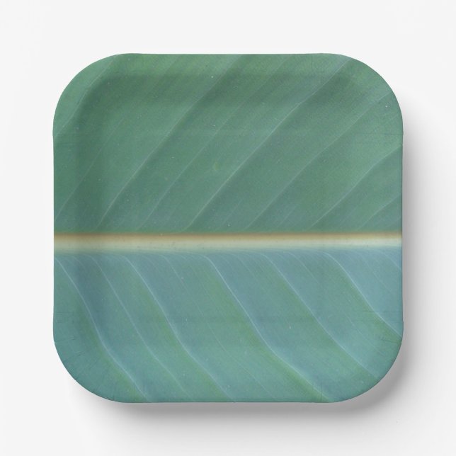 Leaf Paper Plate (Front)