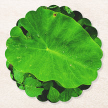 Leaf paper plate 