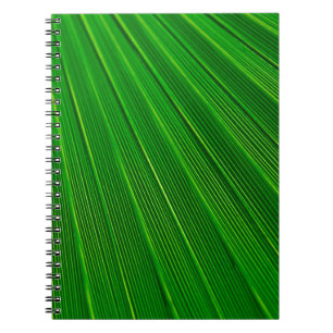 Leaf plant background palm green notebook